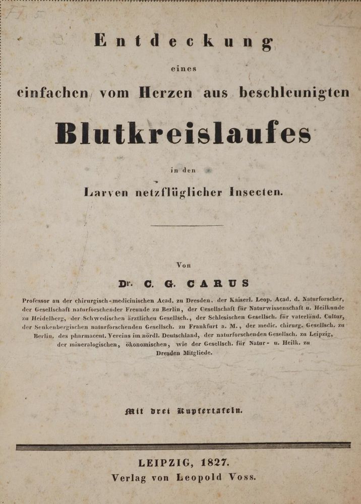 Große Abbildung Nr.1: 142-1891 Carus,C.G.: (Medizin)
