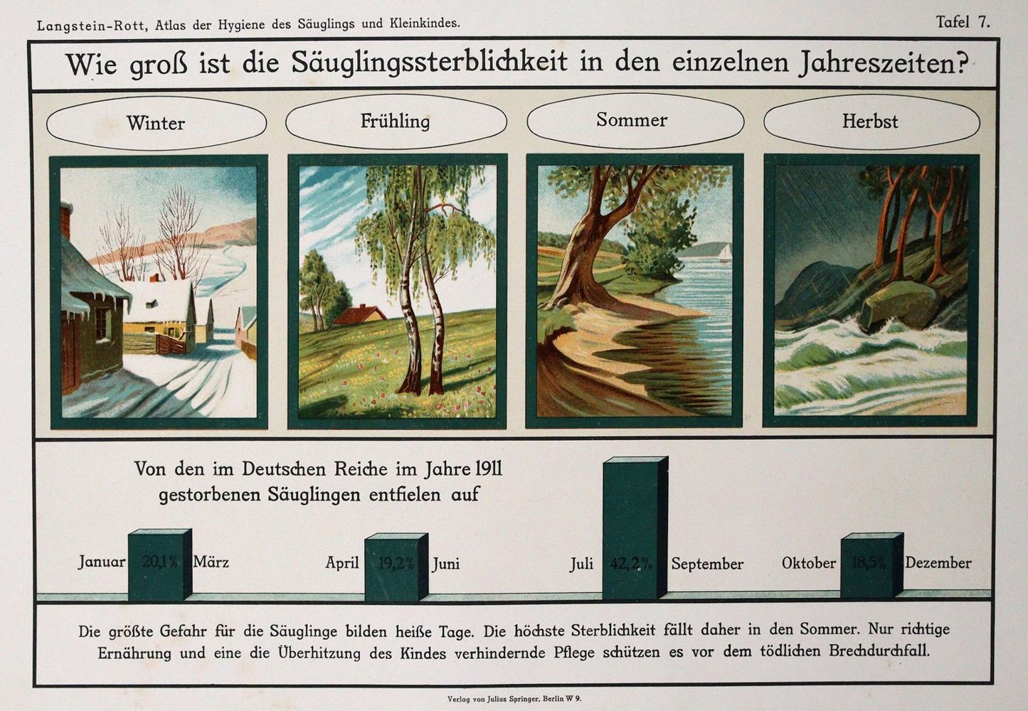 Große Abbildung Nr.2: 142-1916 Langstein,L. u. F.Rott.: (Medizin)