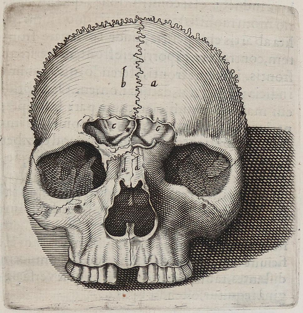 Große Abbildung Nr.214: 142-1926 Pauw,P.: (Medizin)