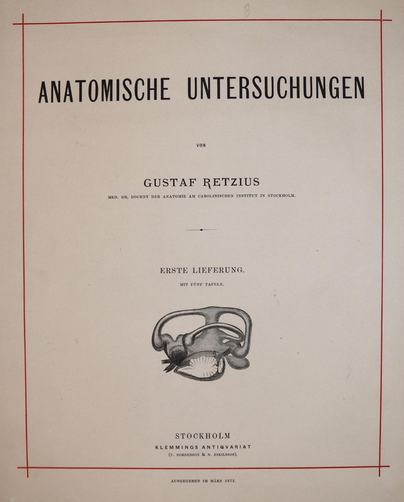Große Abbildung Nr.1: 142-1939 Retzius,G.: (Medizin)