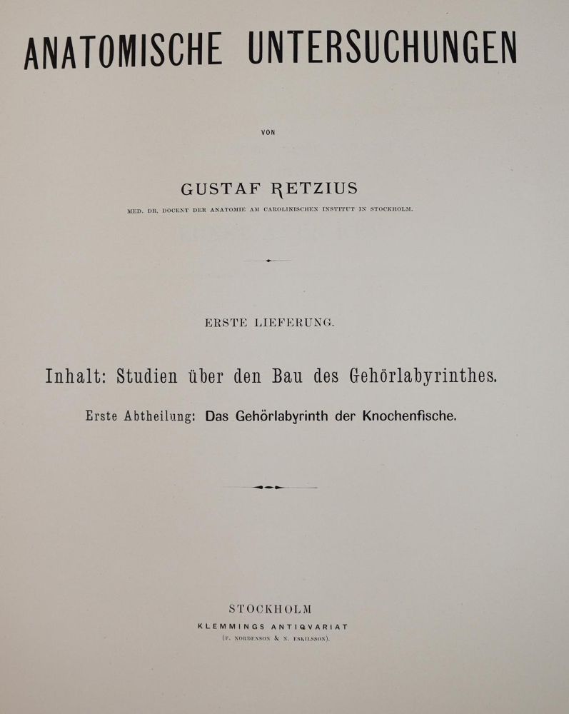 Große Abbildung Nr.2: 142-1939 Retzius,G.: (Medizin)