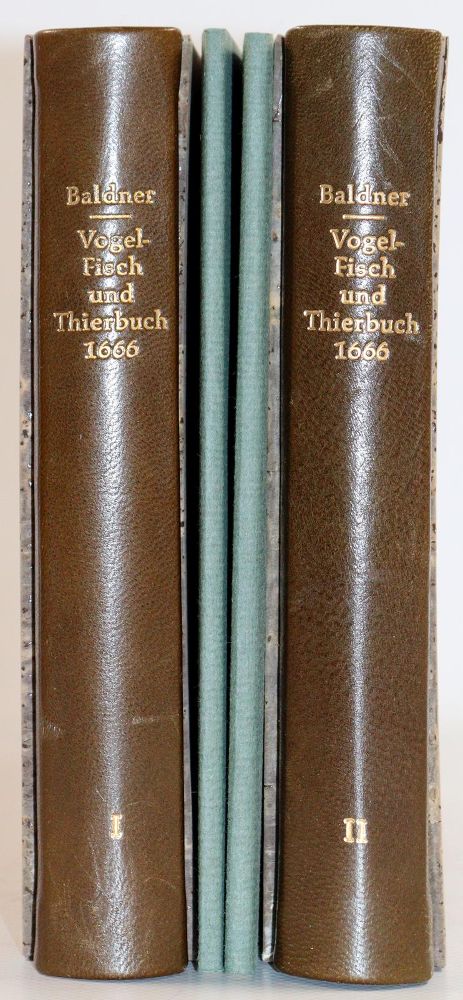 Große Abbildung Nr.5: 142-1962 Baldner,L.: (Zoologie)
