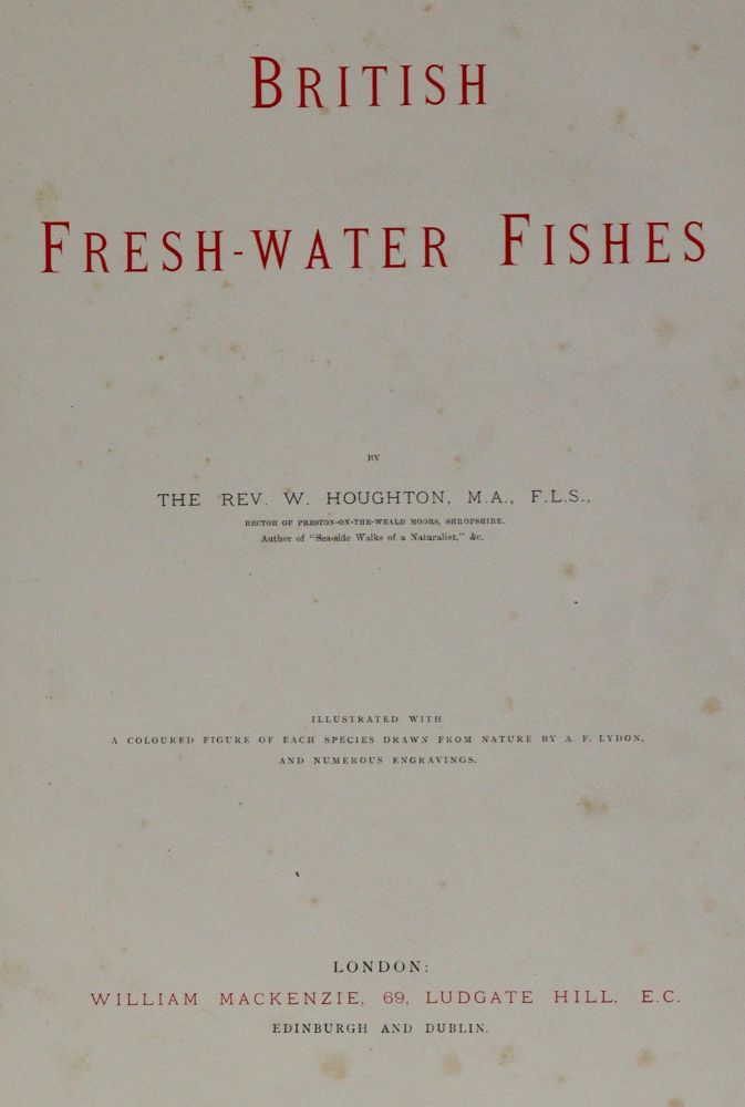 Große Abbildung Nr.3: 142-1974 Houghton,W.: (Zoologie, Fische)