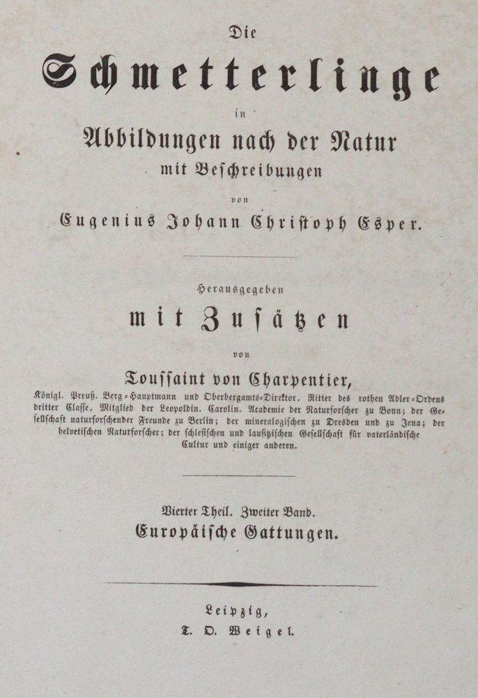 Große Abbildung Nr.8: 142-1979 Esper,E.J.C.: (Zoologie, Insekten, Schmetterlinge)