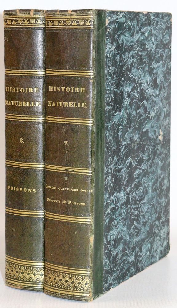 Große Abbildung Nr.5: 142-1981 Lacépède,B.G.E.de.: (Zoologie)