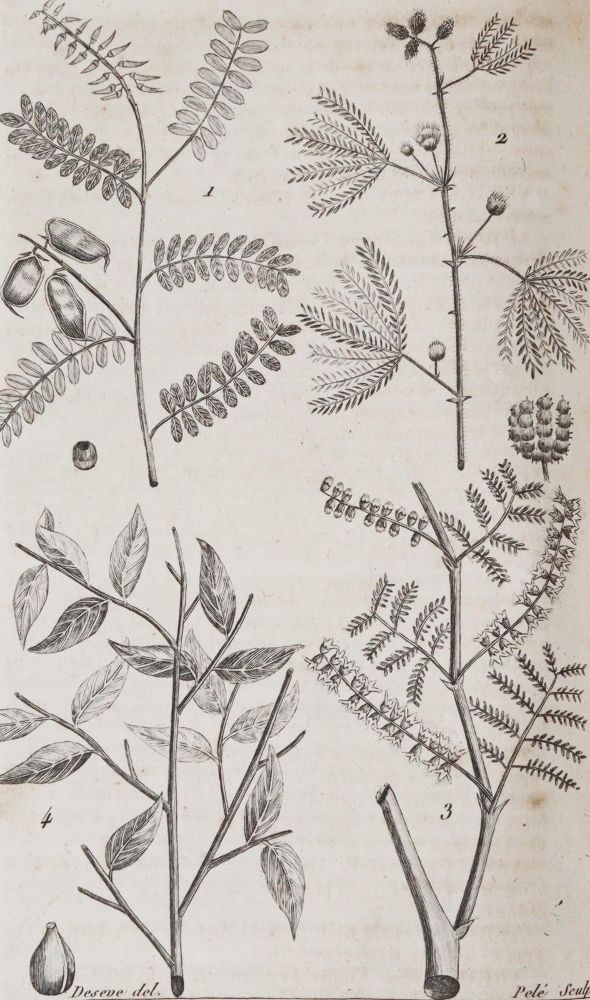 Große Abbildung Nr.5: 142-1983 Nouveau dictionnaire d'histoire naturelle,: (Zoologie)