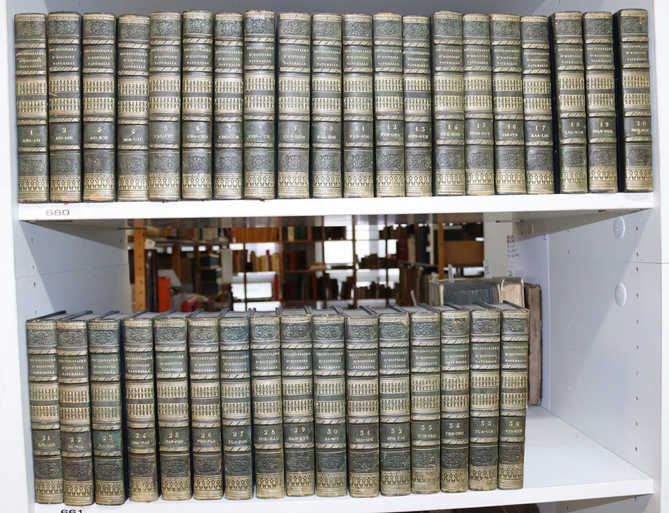 Große Abbildung Nr.6: 142-1983 Nouveau dictionnaire d'histoire naturelle,: (Zoologie)