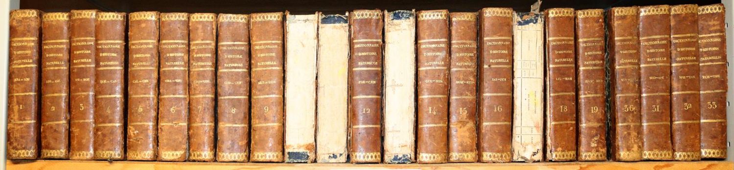 Große Abbildung Nr.2: 142-1984 Nouveau dictionnaire d'histoire naturelle,: (Zoologie)