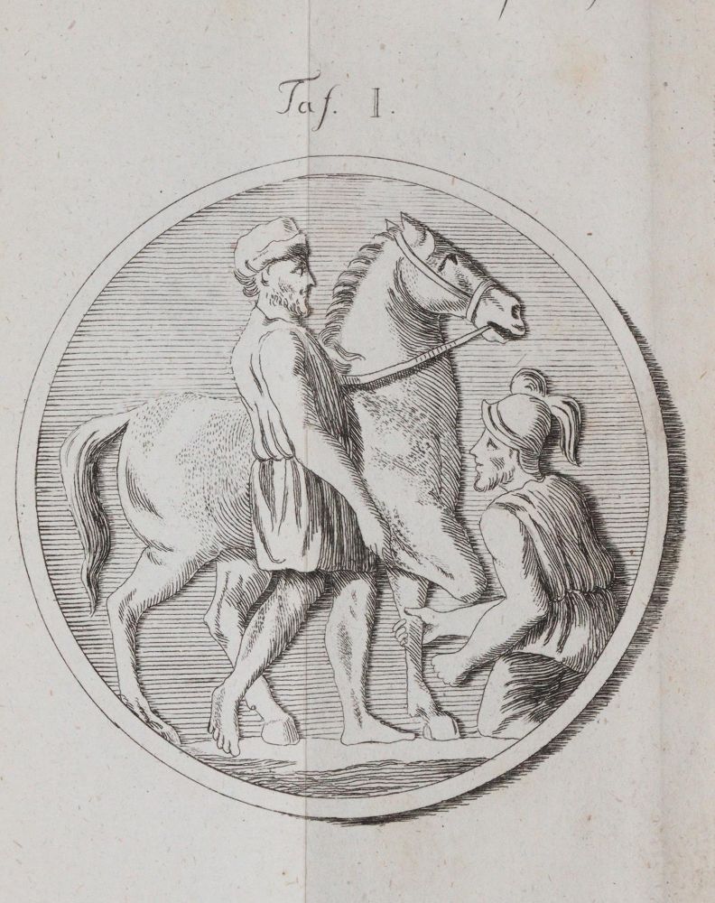 Große Abbildung Nr.2: 142-1985 Heubel,F.E.H.: (Zoologie, Pferde)