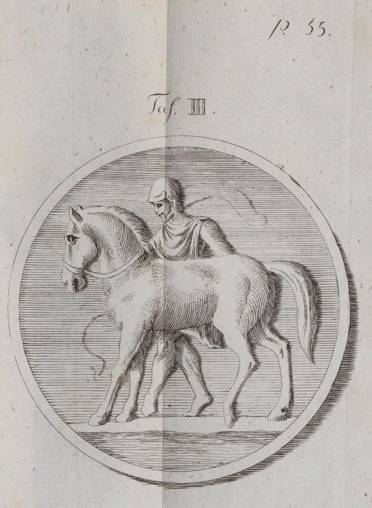Große Abbildung Nr.4: 142-1985 Heubel,F.E.H.: (Zoologie, Pferde)