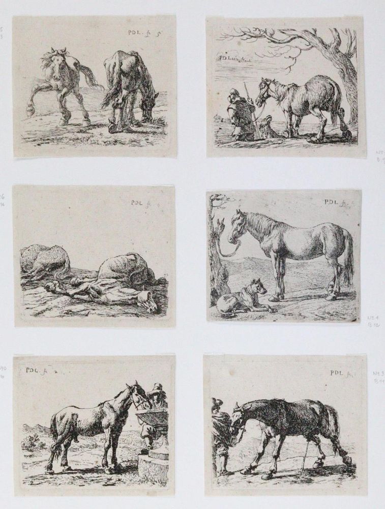 Große Abbildung Nr.2: 142-1987 Laer, Pieter Jacobsz van: (Zoologie, Pferde)