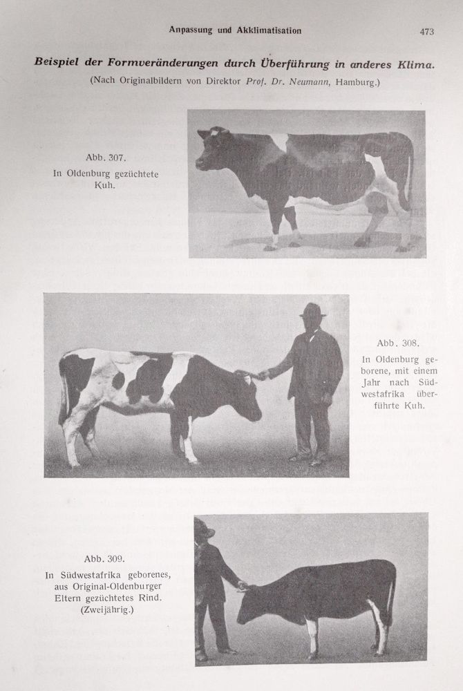 Große Abbildung Nr.1: 142-1990 Stang, V. und D. Wirth (Hrsg.).: (Zoologie)
