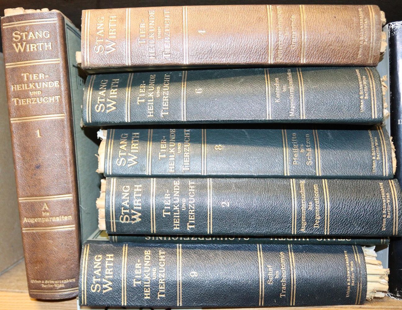 Große Abbildung Nr.2: 142-1990 Stang, V. und D. Wirth (Hrsg.).: (Zoologie)