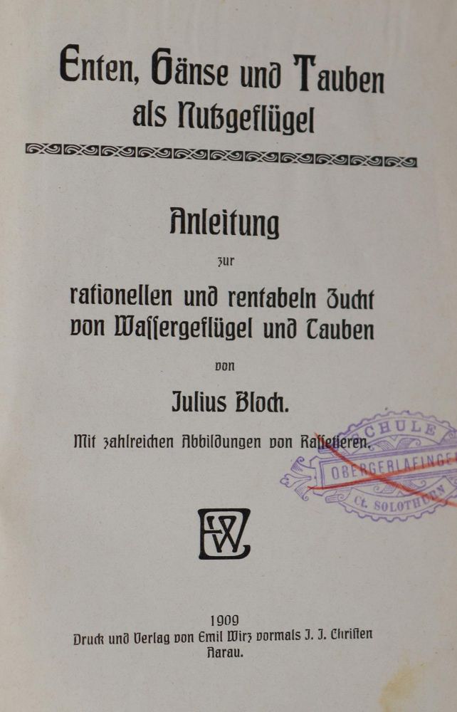 Große Abbildung Nr.3: 142-1991 Baldamus,A.C.E.: (Zoologie, Vögel)