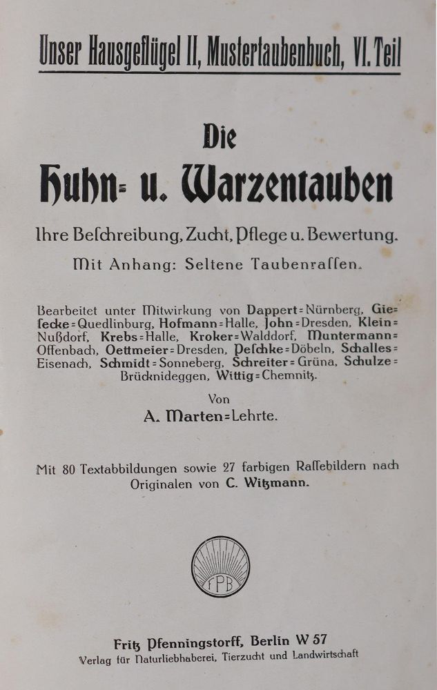 Große Abbildung Nr.4: 142-1991 Baldamus,A.C.E.: (Zoologie, Vögel)