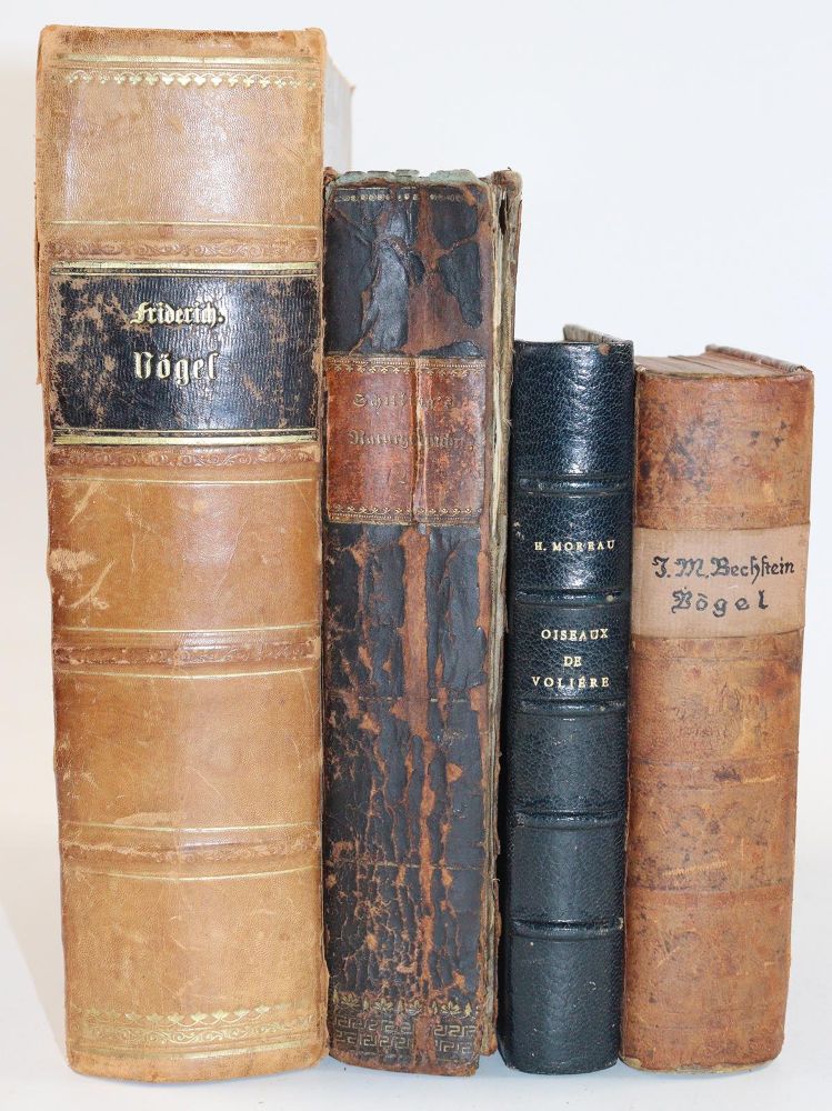 Große Abbildung Nr.5: 142-1992 Bechstein,J.M.: (Zoologie, Vögel)