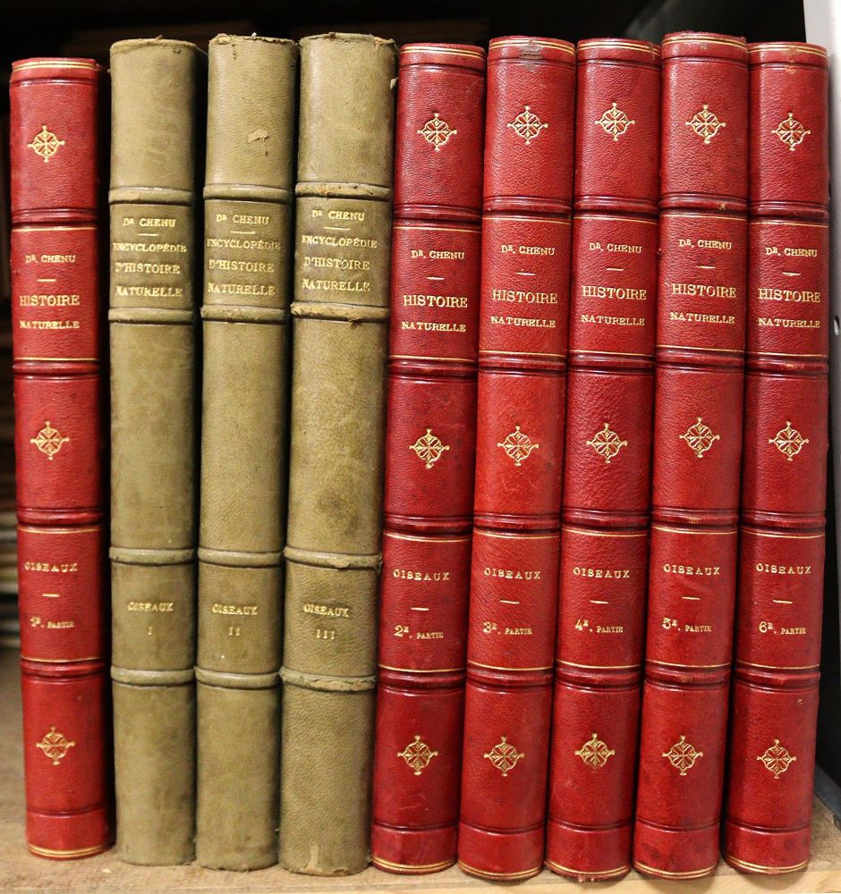 Große Abbildung Nr.6: 142-1996 Chenu,J.C.: (Zoologie, Vögel)