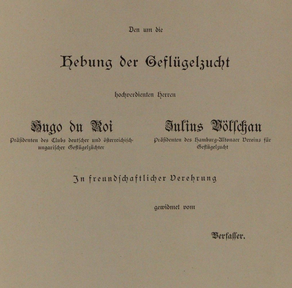 Große Abbildung Nr.3: 142-1997 Maar,A.: (Zoologie, Vögel, Enten)