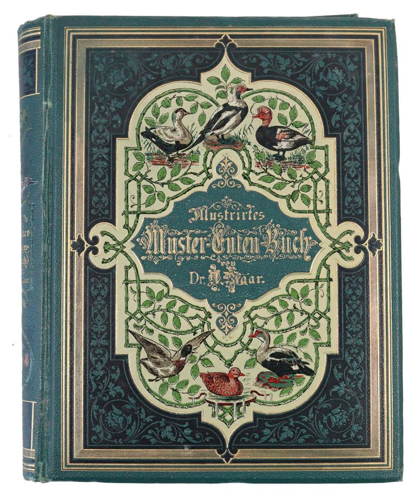 Große Abbildung Nr.4: 142-1997 Maar,A.: (Zoologie, Vögel, Enten)