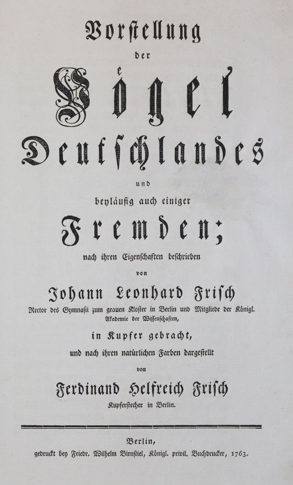 Große Abbildung Nr.24: 142-1999 Frisch,J.L.: (Zoologie, Vögel)