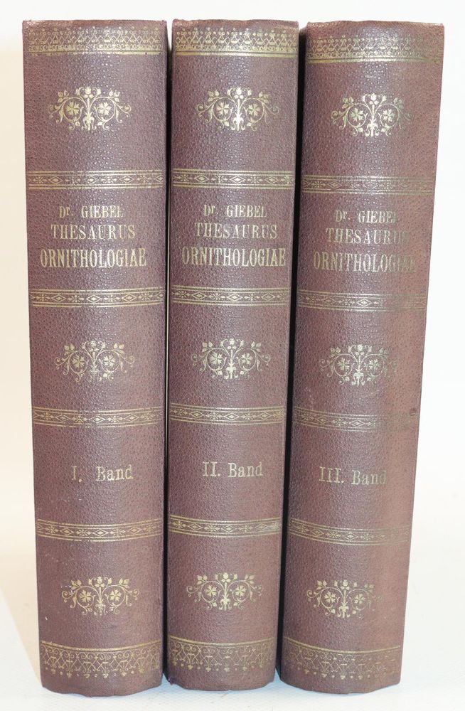 Große Abbildung Nr.2: 142-2001 Giebel,C.G.: (Zoologie, Vögel)