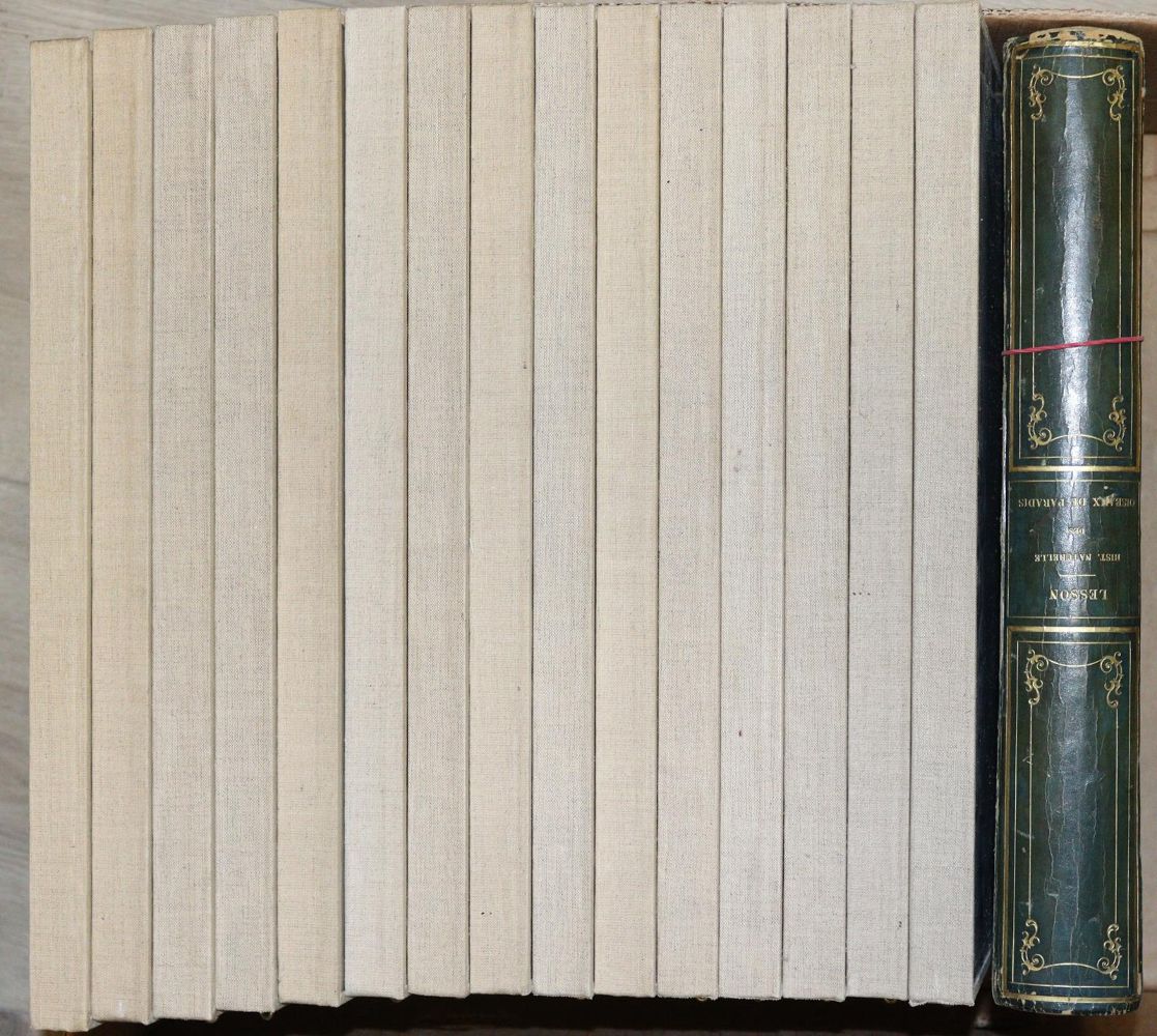 Große Abbildung Nr.5: 142-2003 Lesson,R.P.: (Zoologie, Vögel)
