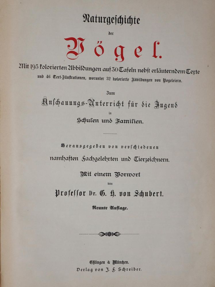 Große Abbildung Nr.6: 142-2004 Meerwarth,H. u. K.Soffel.: (Zoologie, Vögel)