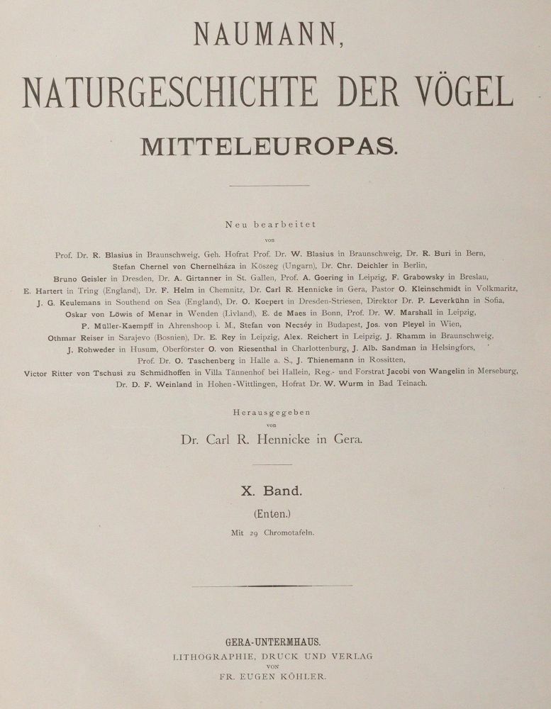 Große Abbildung Nr.1: 142-2006 Naumann,(J.A.).: (Zoologie, Vögel)
