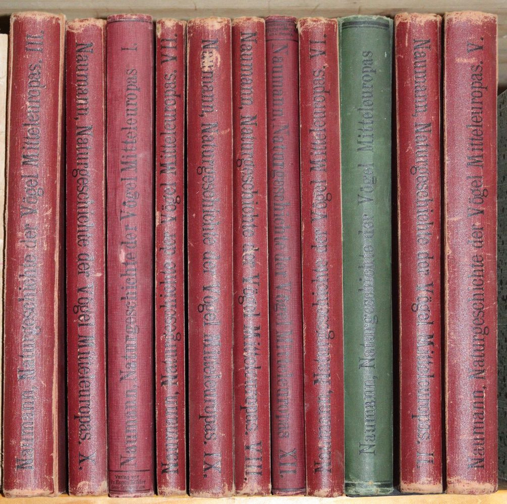 Große Abbildung Nr.5: 142-2006 Naumann,(J.A.).: (Zoologie, Vögel)