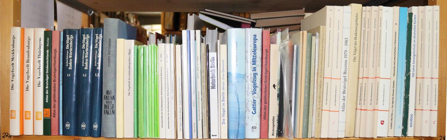 Große Abbildung Nr.2: 142-2009 Ornithologie.: (Zoologie, Vögel)