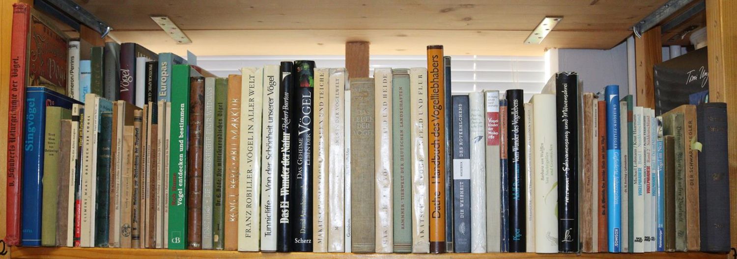 Große Abbildung Nr.3: 142-2010 Ornithologie.: (Zoologie, Vögel)