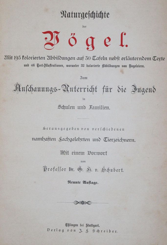 Große Abbildung Nr.4: 142-2010 Ornithologie.: (Zoologie, Vögel)