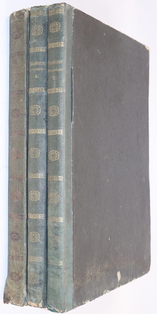 Große Abbildung Nr.3: 142-2012 (Pöppig,E.).: (Zoologie, Vögel)