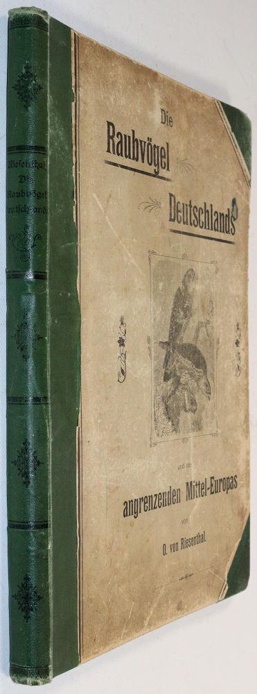 Große Abbildung Nr.4: 142-2013 Riesenthal,O.v.: (Zoologie, Vögel)