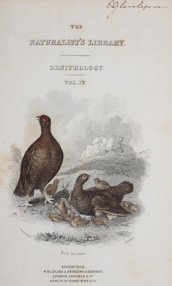 Große Abbildung Nr.1: 142-2014 Sammlung: (Zoologie, Vögel)