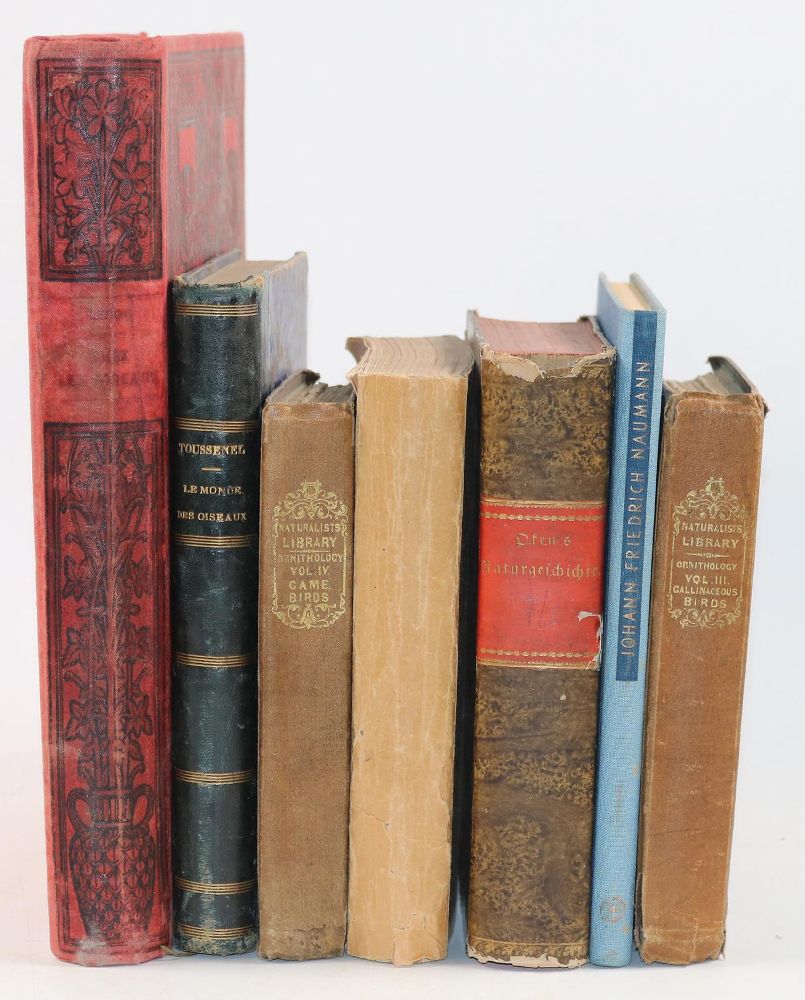 Große Abbildung Nr.5: 142-2014 Sammlung: (Zoologie, Vögel)