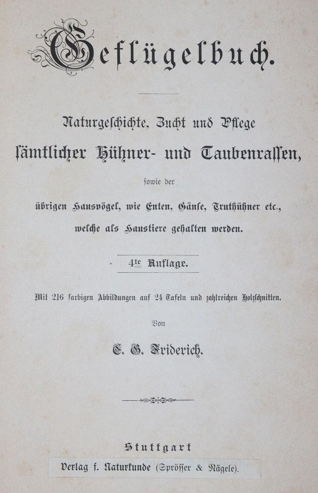 Große Abbildung Nr.1: 142-2016 Baldamus,A.C.E.: (Zoologie, Vögel, Tauben)