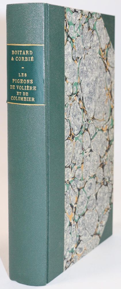 Große Abbildung Nr.4: 142-2019 Boitard,(P.) u. M.Corbier.: (Zoologie, Vögel, Tauben)
