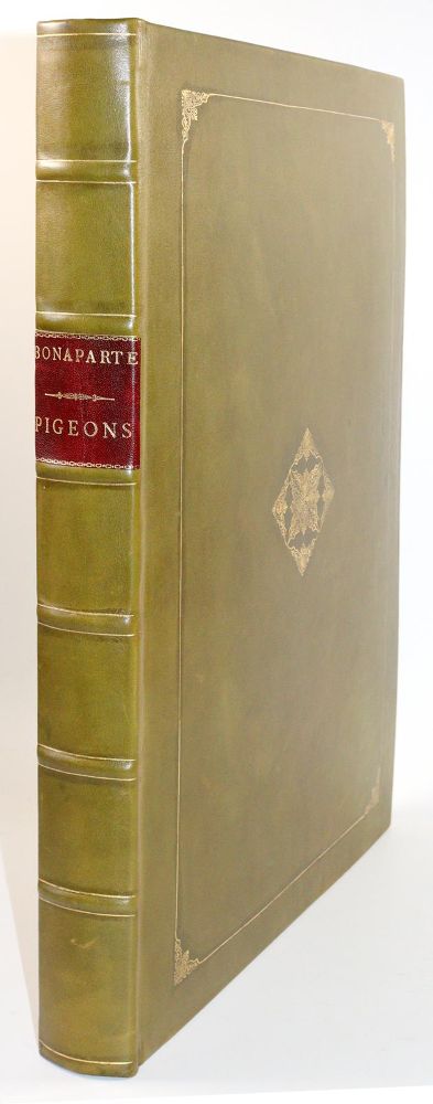 Große Abbildung Nr.10: 142-2020 Bonaparte,C.-L.: (Zoologie, Vögel, Tauben)