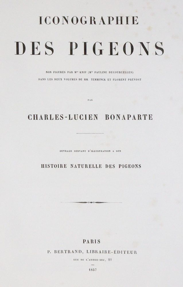 Große Abbildung Nr.9: 142-2020 Bonaparte,C.-L.: (Zoologie, Vögel, Tauben)