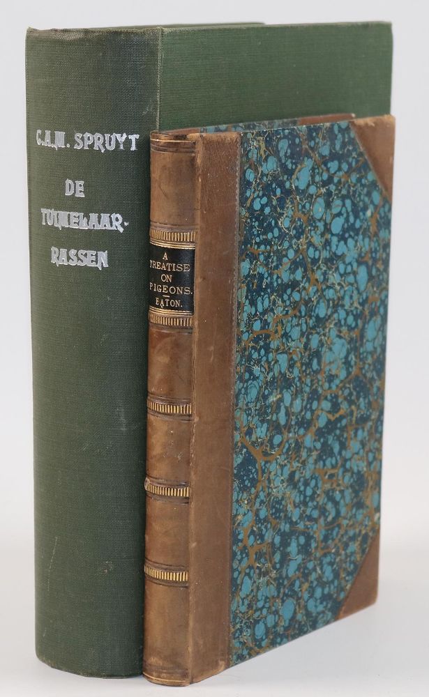 Große Abbildung Nr.3: 142-2022 Eaton,J.M.: (Zoologie, Vögel, Tauben)