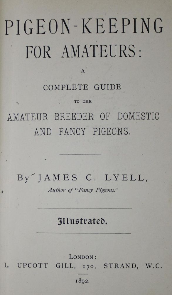 Große Abbildung Nr.5: 142-2023 Eaton,J.M.: (Zoologie, Vögel, Tauben)