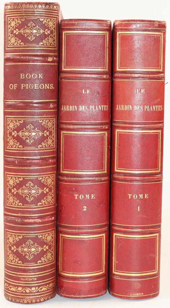 Große Abbildung Nr.5: 142-2026 Fulton,R.: (Zoologie, Vögel, Tauben)