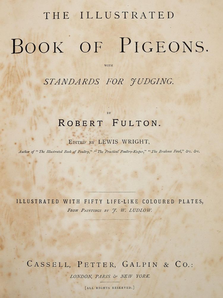 Große Abbildung Nr.1: 142-2027 Fulton,R.: (Zoologie, Vögel, Tauben)
