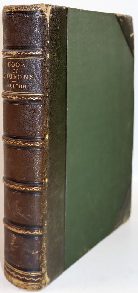 Große Abbildung Nr.4: 142-2027 Fulton,R.: (Zoologie, Vögel, Tauben)