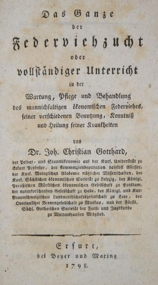 Große Abbildung Nr.1: 142-2029 Gründlicher Unterricht: (Zoologie, Vögel, Tauben)