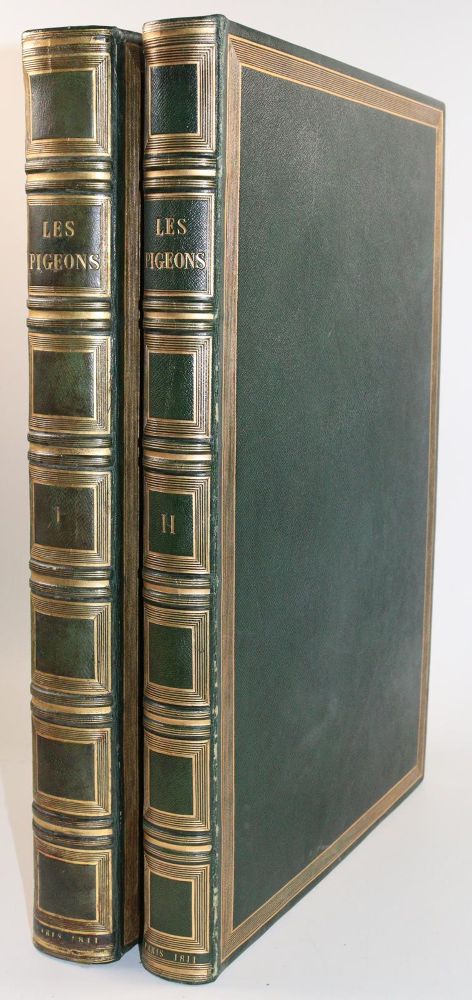 Große Abbildung Nr.10: 142-2031 Knip,A.P.J., C.J.Temminck u. F.Prevost.: (Zoologie, Vögel, Tauben)