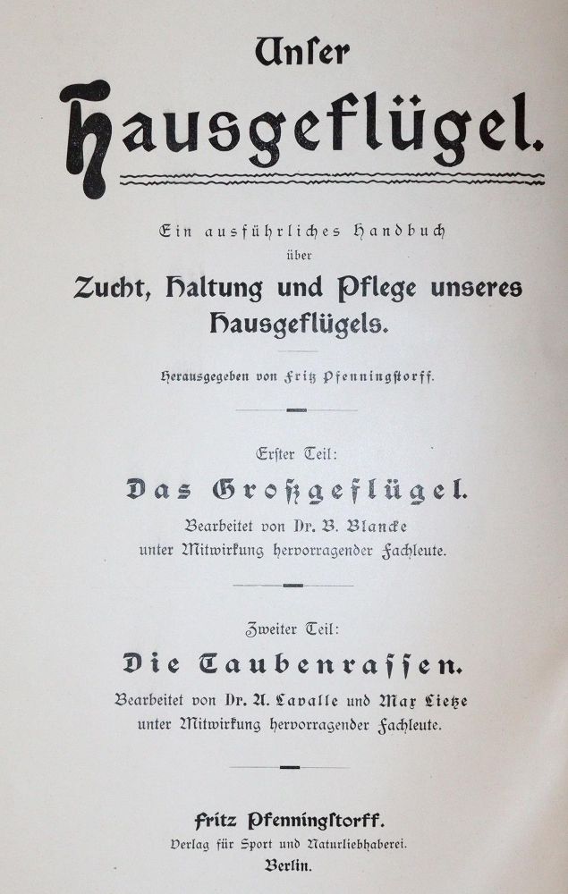 Große Abbildung Nr.1: 142-2032 Lavalle,A. u. M.Lietze.: (Zoologie, Vögel, Tauben)