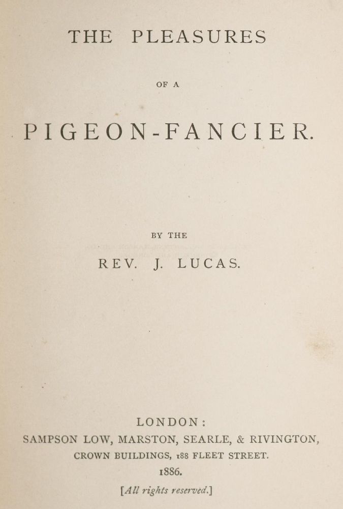 Große Abbildung Nr.2: 142-2033 Lucas,J.: (Zoologie, Vögel, Tauben)