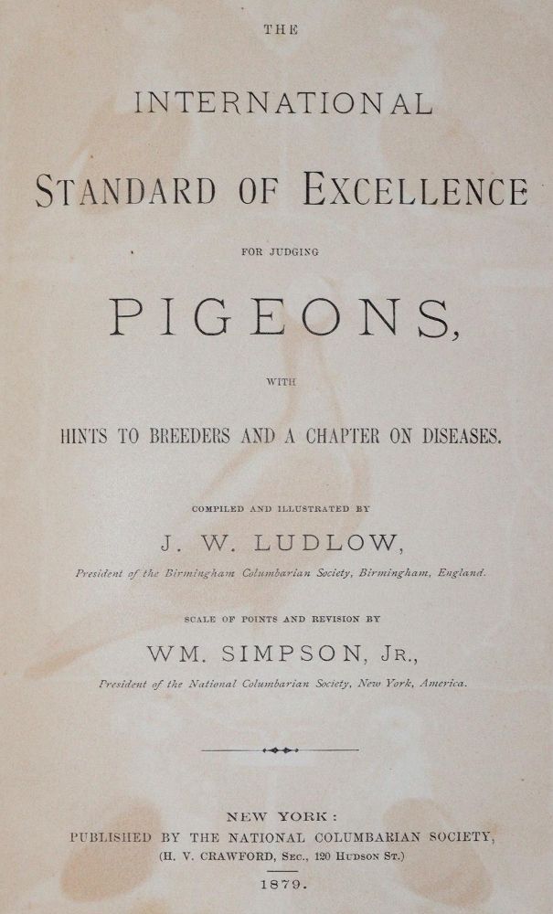 Große Abbildung Nr.1: 142-2034 Ludlow,J.W.: (Zoologie, Vögel, Tauben)